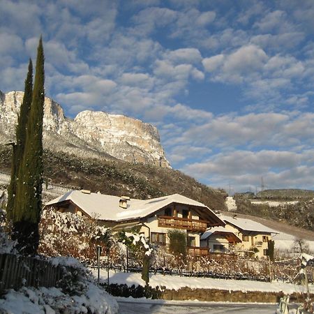 Gfillhof Ferienwohnung 3 Appiano Sulla Strada Del Vino Exterior foto