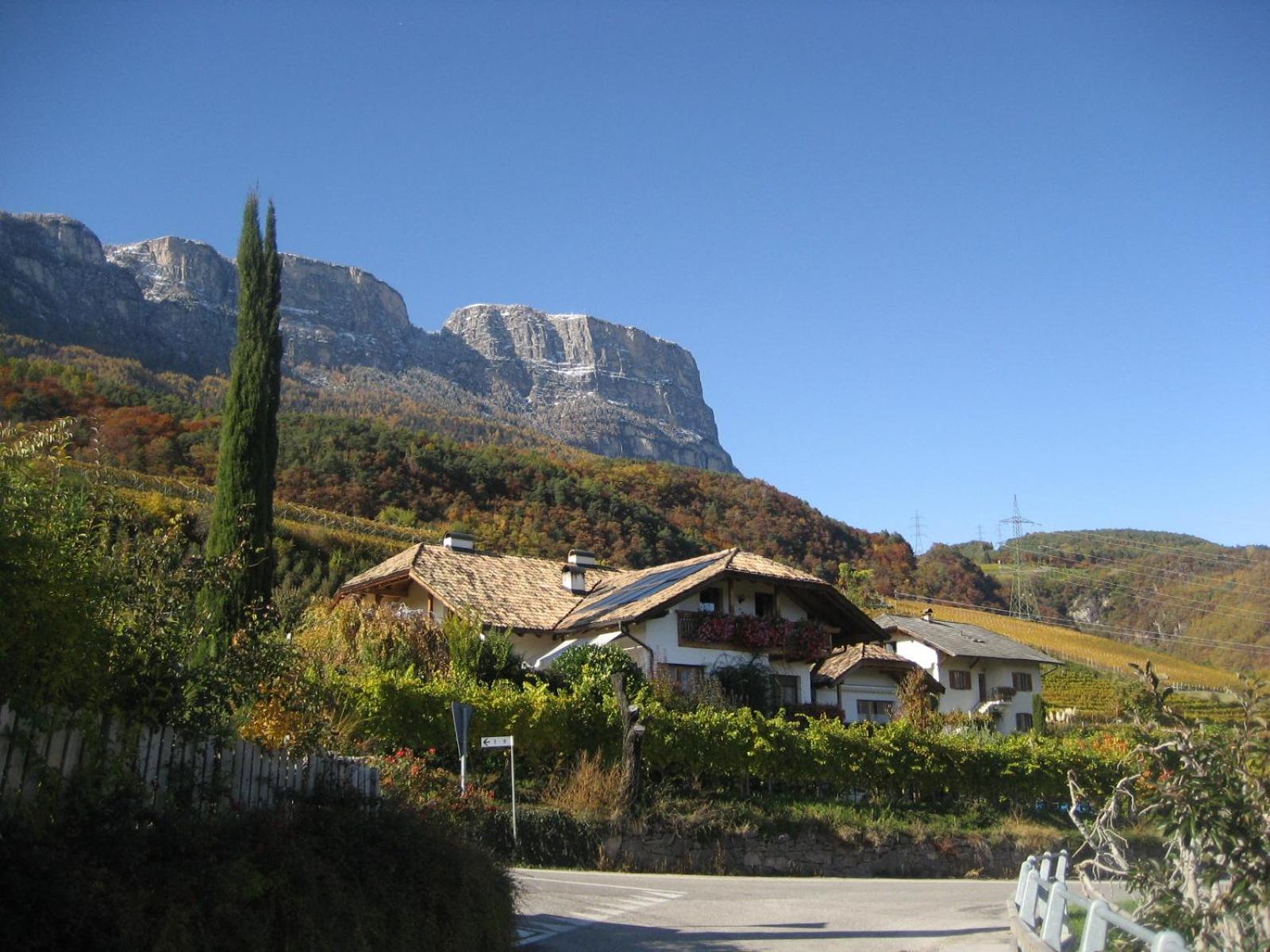 Gfillhof Ferienwohnung 3 Appiano Sulla Strada Del Vino Exterior foto