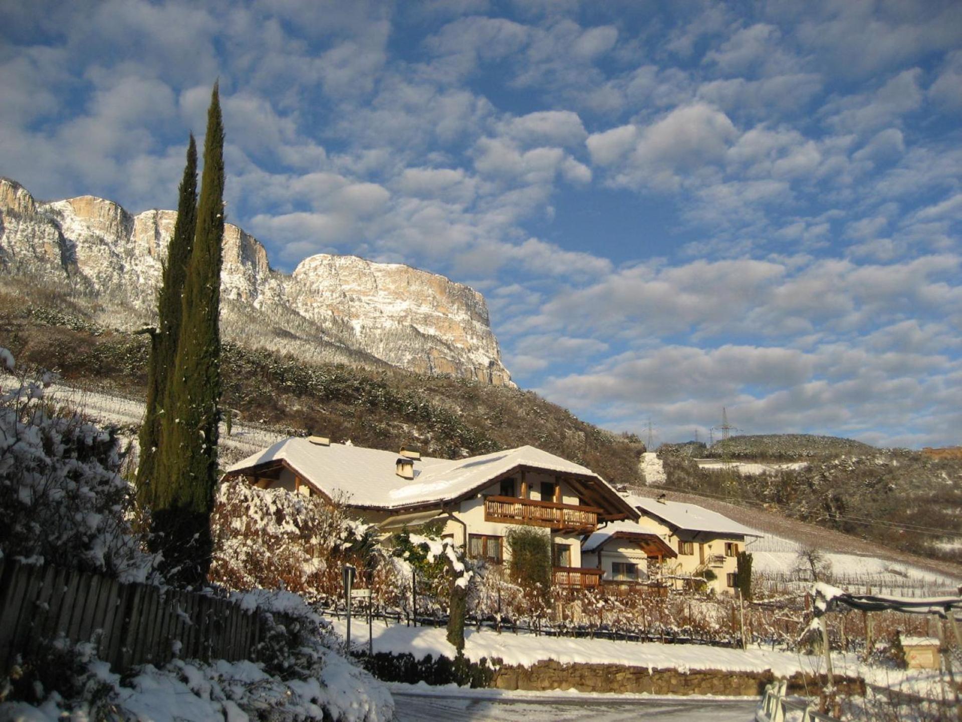 Gfillhof Ferienwohnung 3 Appiano Sulla Strada Del Vino Exterior foto