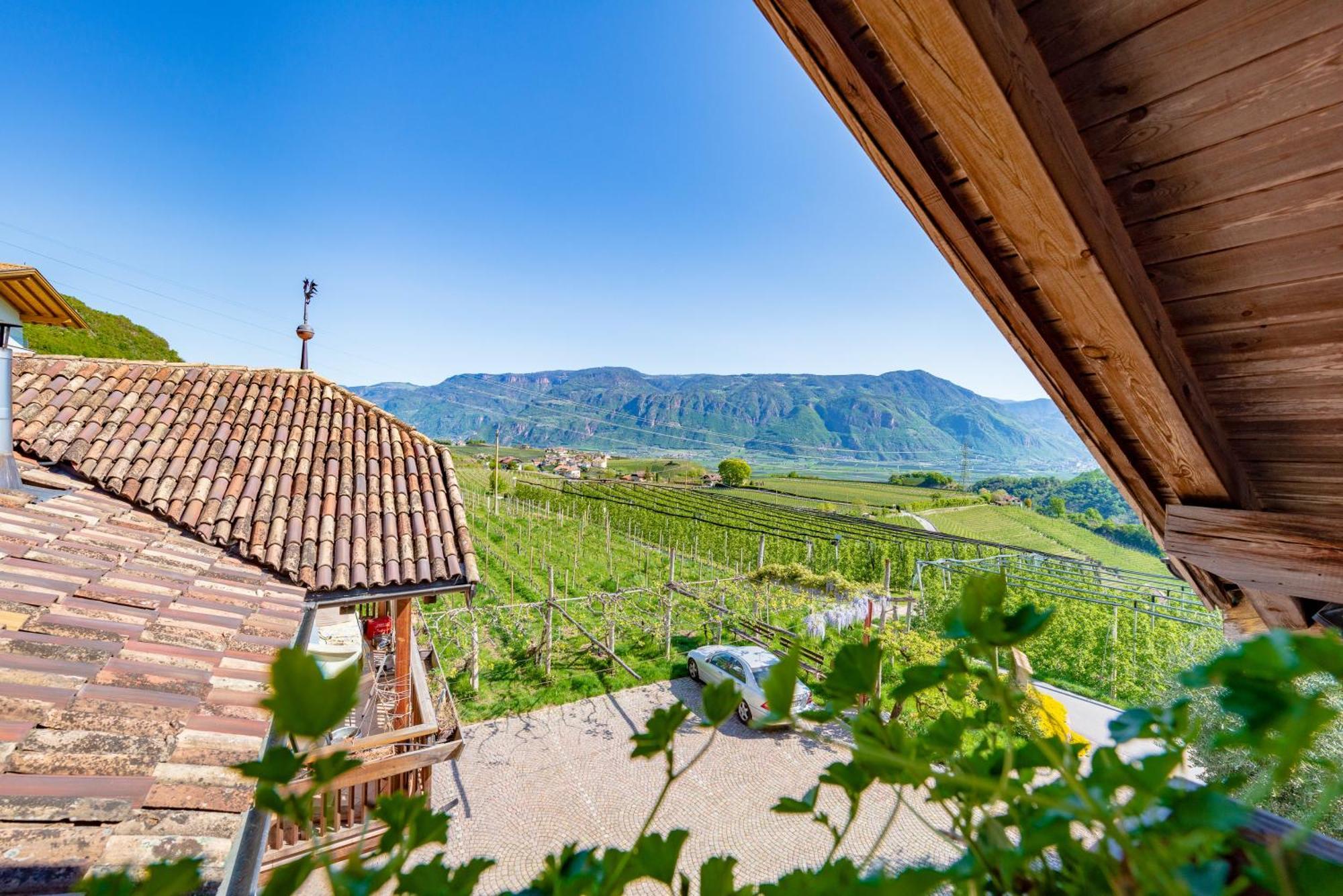 Gfillhof Ferienwohnung 3 Appiano Sulla Strada Del Vino Exterior foto